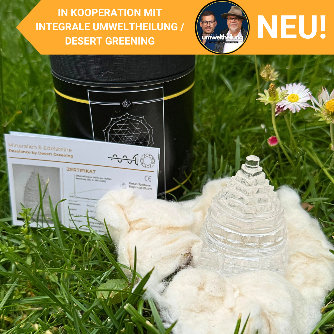 Shri Yantra -  Energie-Läuterung
