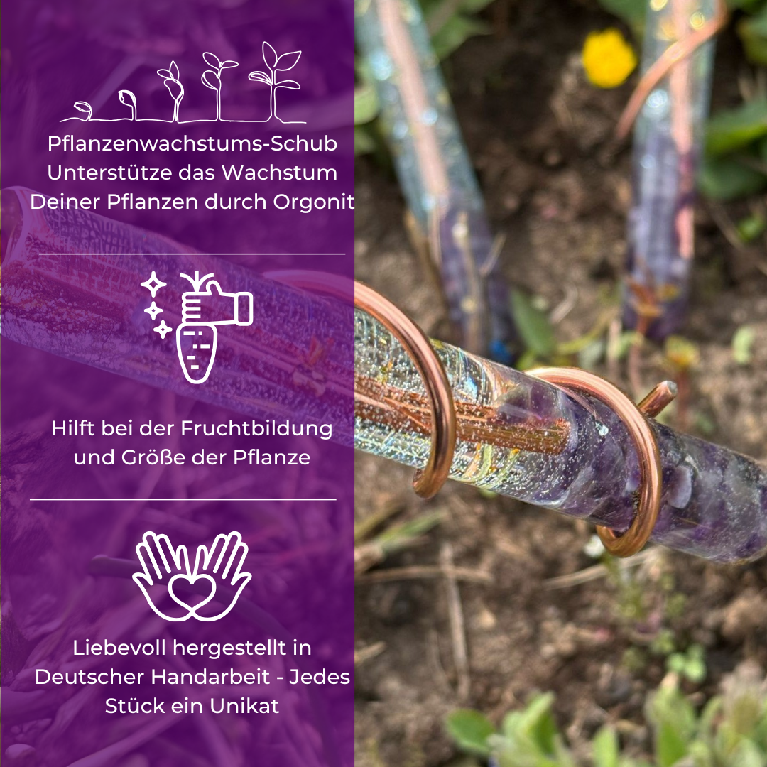 Orgonit Pflanzen Wachstumsstab