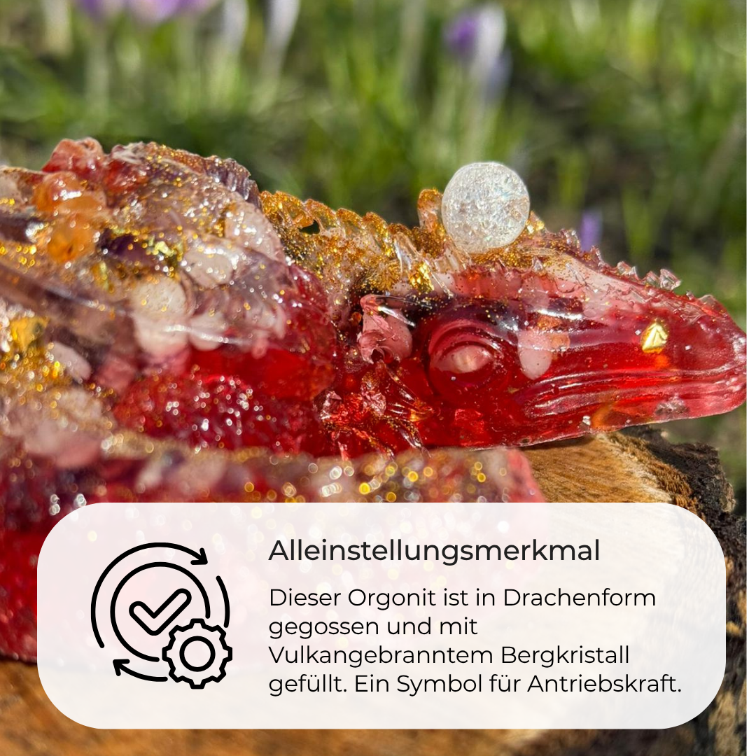 Orgonit-Drache 