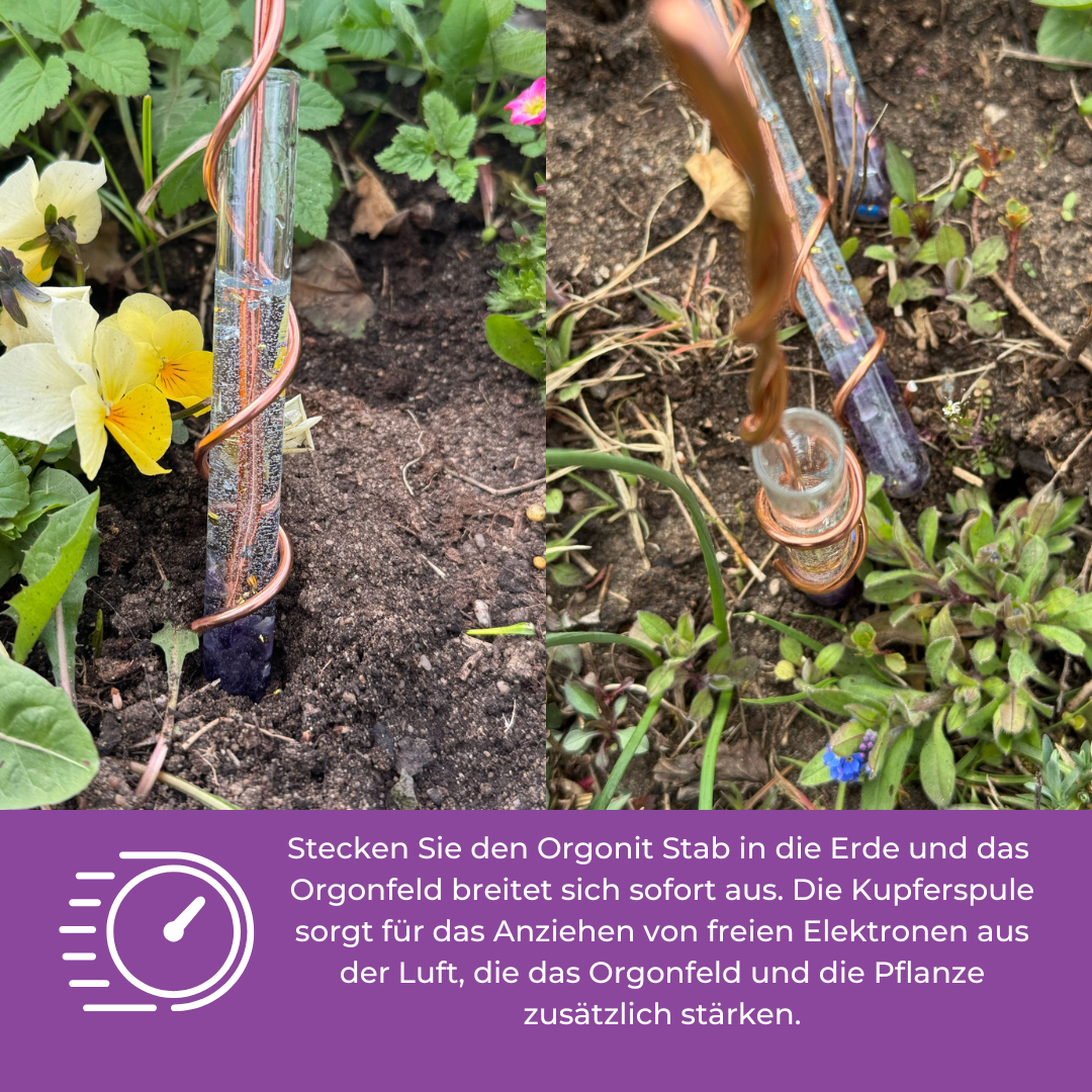 Orgonit Pflanzen Wachstumsstab