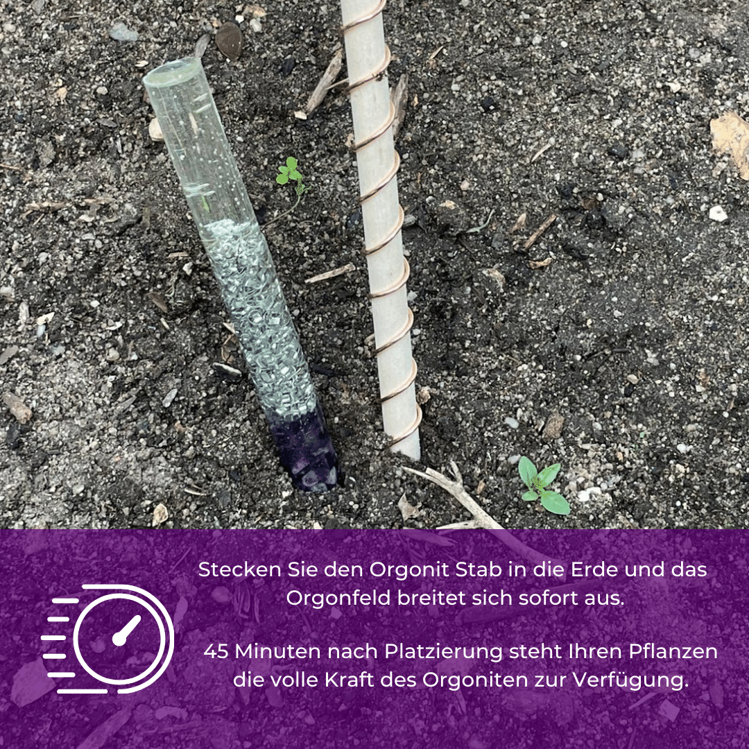 Orgonit Wachstumsstab für den Garten