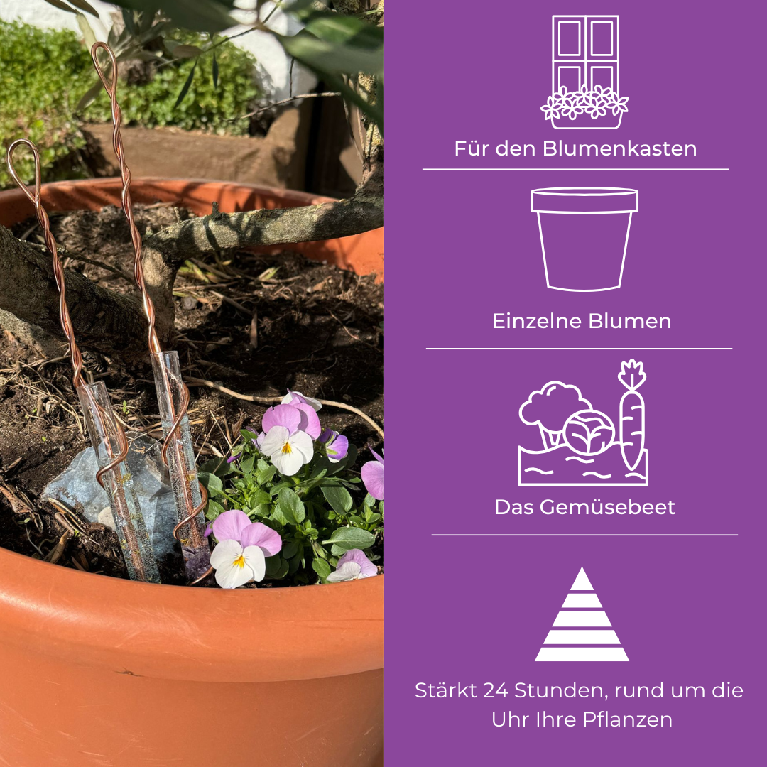 Orgonit Pflanzen Wachstumsstab