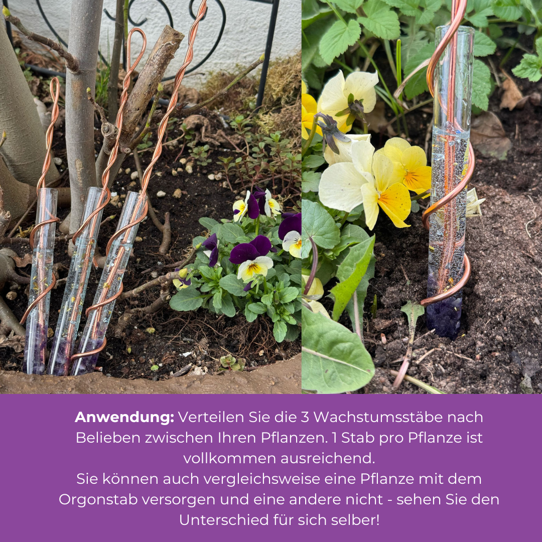 Orgonit Pflanzen Wachstumsstab