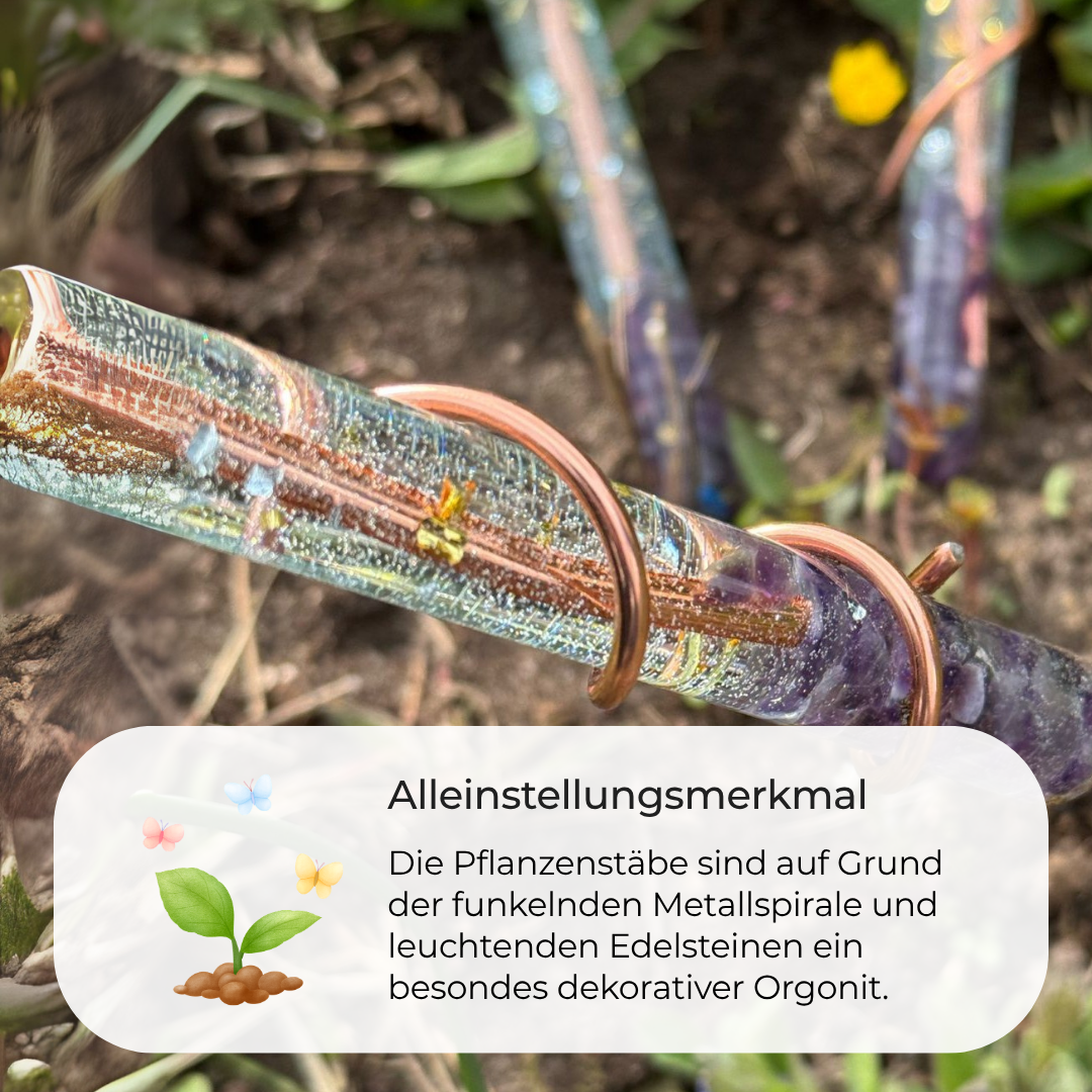 Orgonit für Pflanzen 