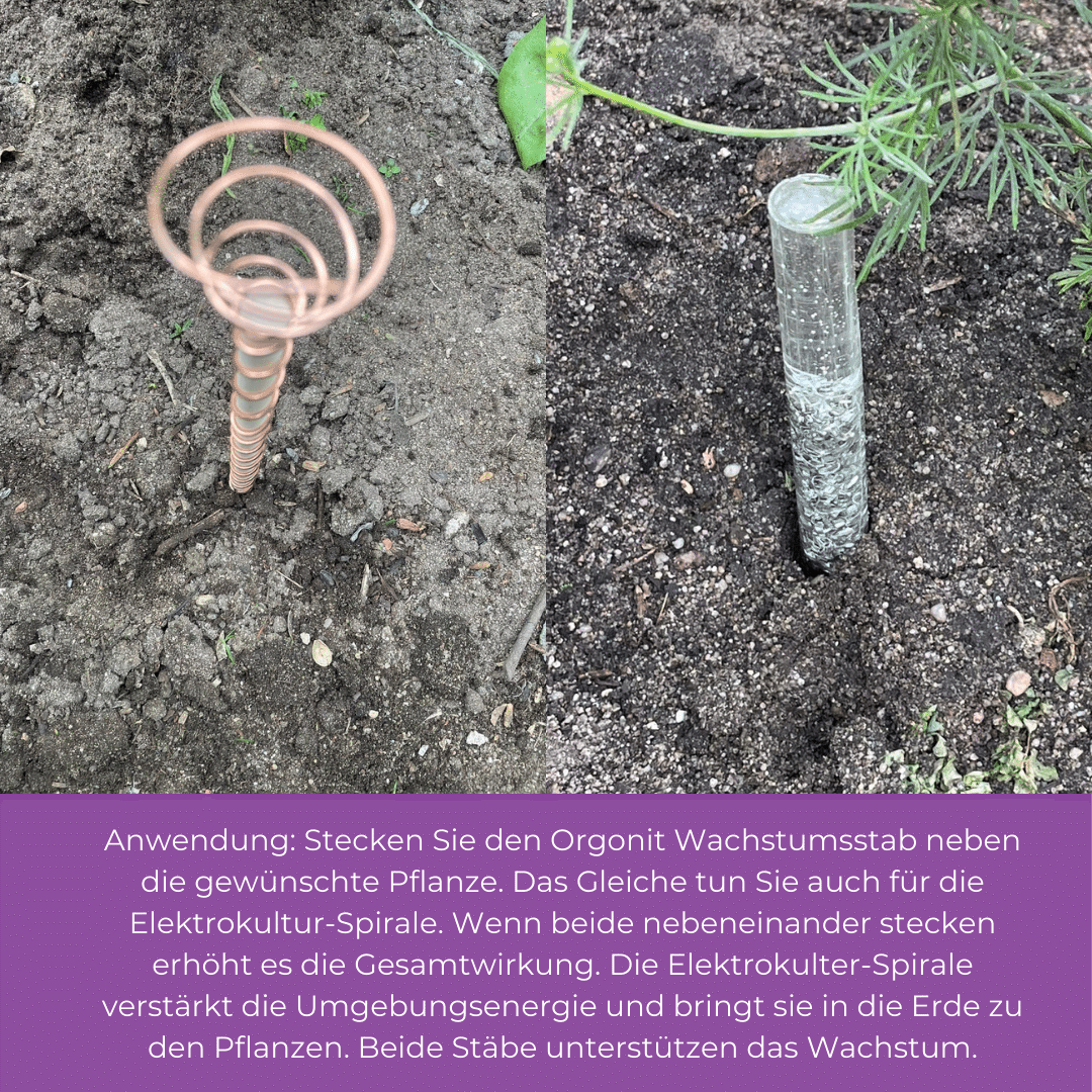 Orgonit Wachstumsstab für den Garten