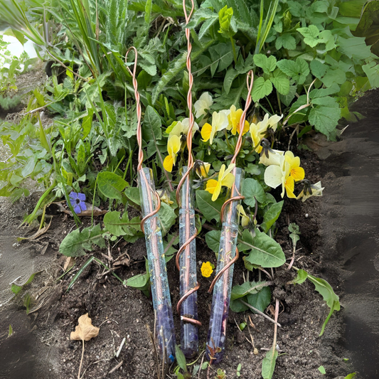 Orgonit Pflanzen Wachstumsstab