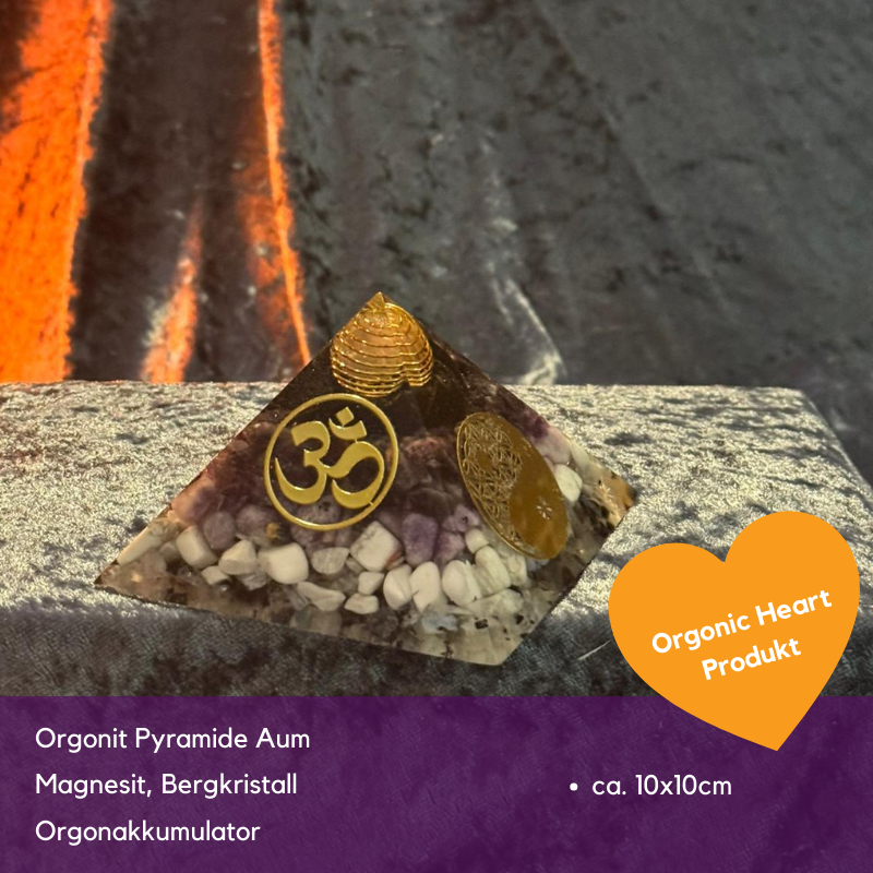 Black Friday Spezial Sonderverkauf November