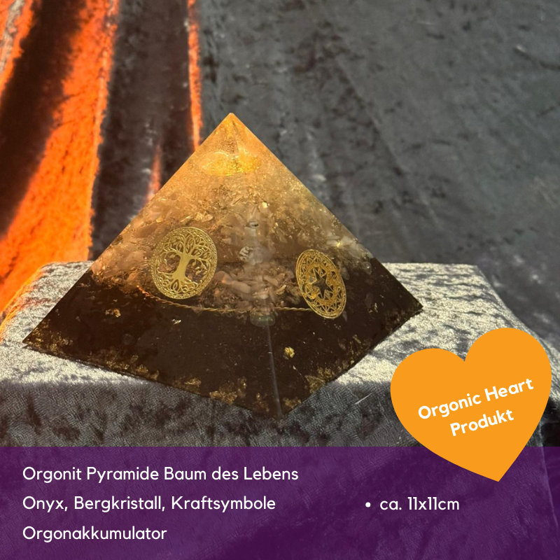 Black Friday Spezial Sonderverkauf November