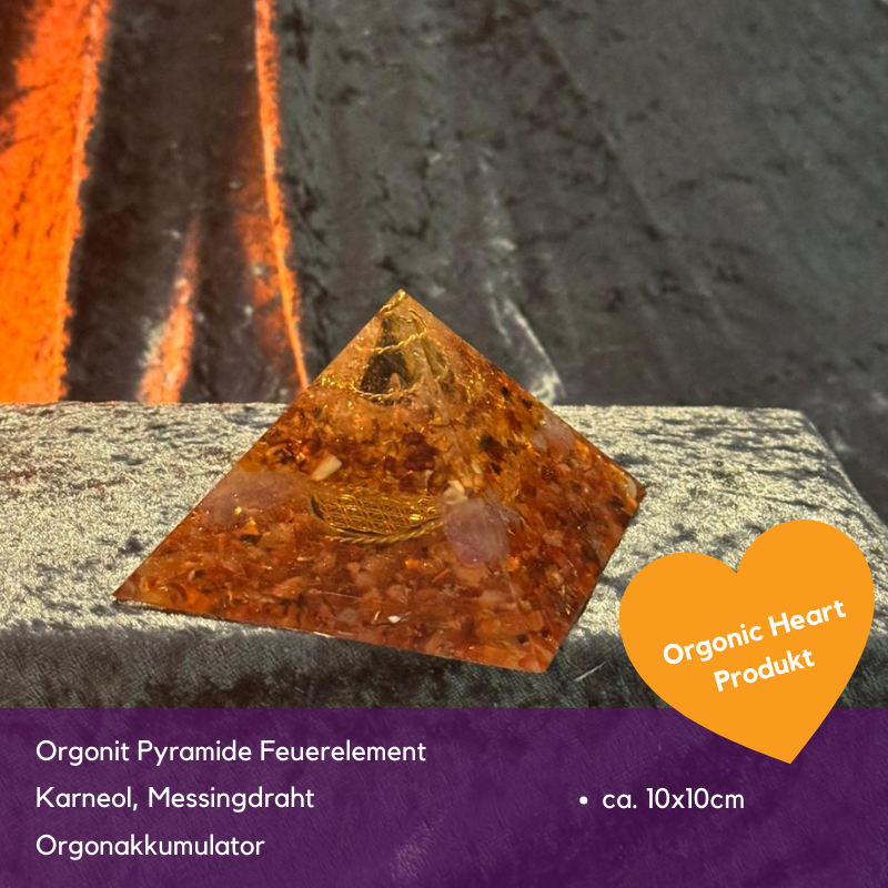 Black Friday Spezial Sonderverkauf November