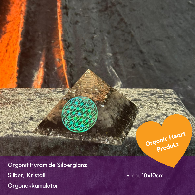 Black Friday Spezial Sonderverkauf November