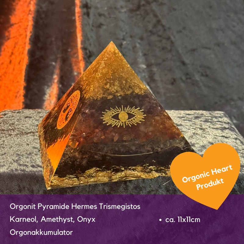 Black Friday Spezial Sonderverkauf November