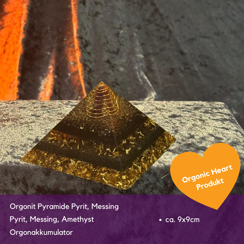 Black Friday Spezial Sonderverkauf November