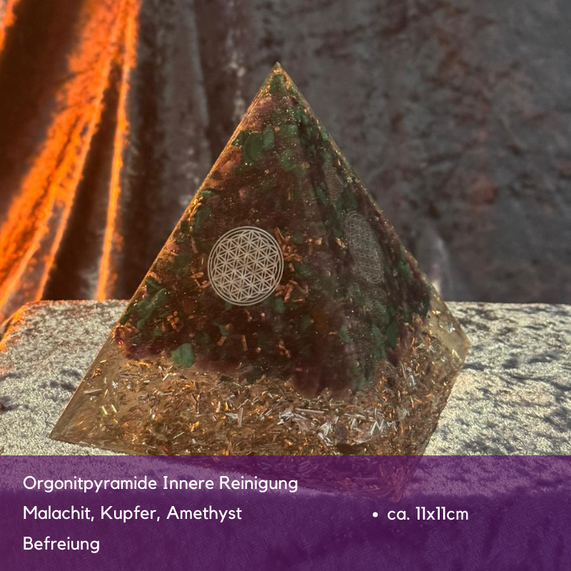 Black Friday Spezial Sonderverkauf November