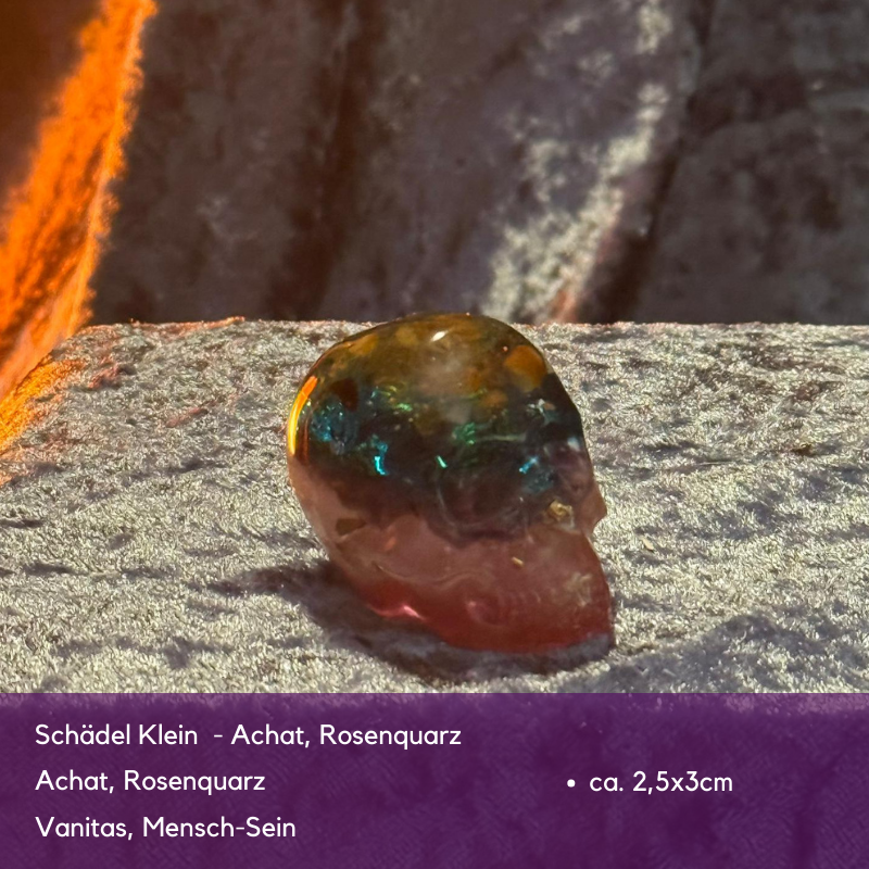 Black Friday Spezial Sonderverkauf November