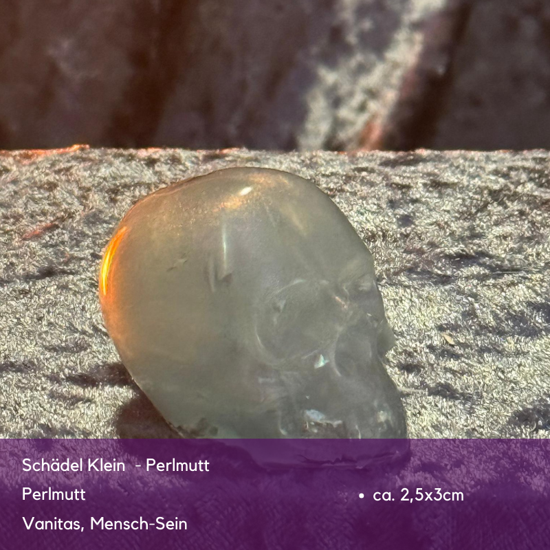 Black Friday Spezial Sonderverkauf November